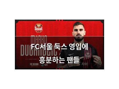FC서울 둑스 영입에 흥분하는 팬들