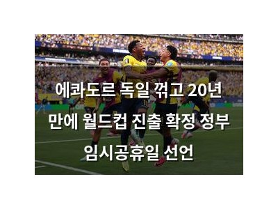 에콰도르 독일 꺾고 20년 만에 월드컵 진출 확정 정부 임시공휴일 선언