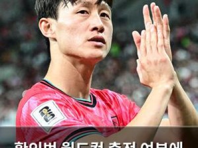 황인범 월드컵 출전 여부에 불확실성 떠들썩