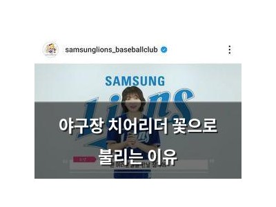 야구장 치어리더 꽃으로 불리는 이유