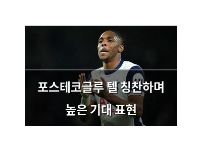 포스테코글루 텔 칭찬하며 높은 기대 표현