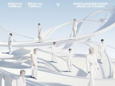 세븐틴 월드투어 개막 하루 전에 벌어진 일
