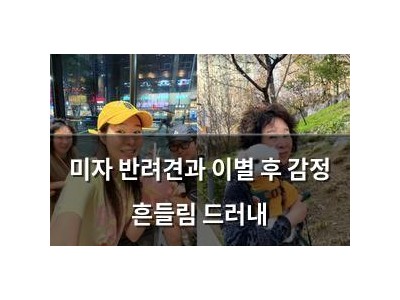 미자 반려견과 이별 후 감정 흔들림 드러내