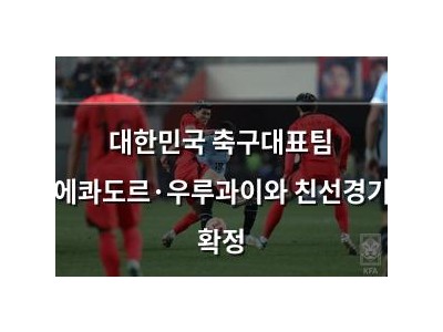 대한민국 축구대표팀 에콰도르·우루과이와 친선경기 확정