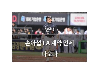 손아섭 FA 계약 언제 나오나
