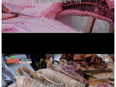 정글밥2에서 아마존 맞벌이 시작되자 팬들 반응 뜨거웠음