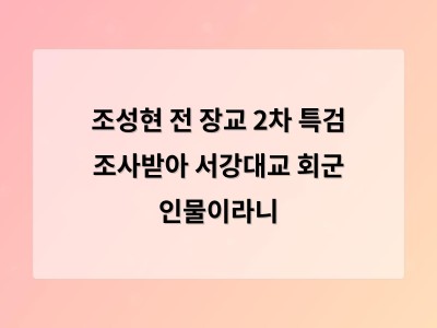 조성현 전 장교 소환에 관심 쏠리는 이유는 훈장 배경 때문