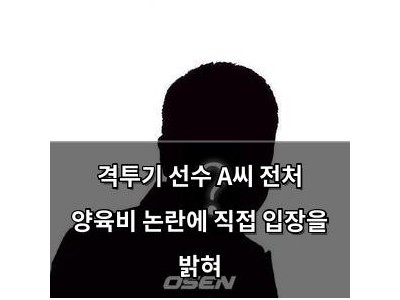격투기 선수 A씨 전처 양육비 논란에 직접 입장을 밝혀
